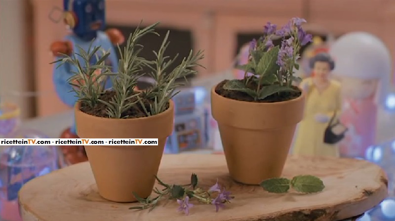 vasetti di fiori commestibili