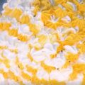 zuccotto al limone di Daniele Persegani