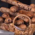 grissini al cioccolato di Fulvio Marino