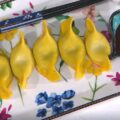 ravioli Bergamo Pechino Napoli di David Fiordigiglio