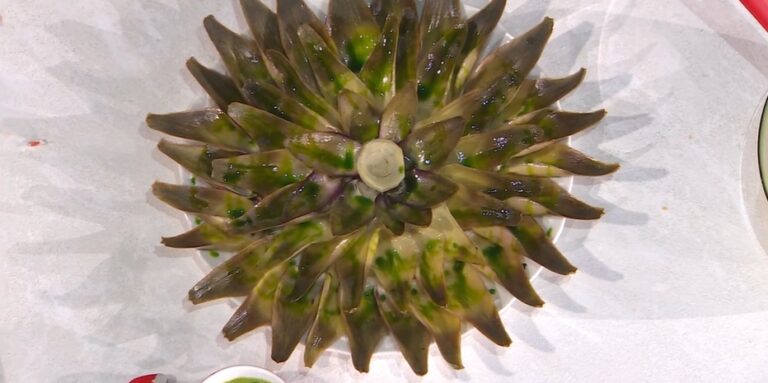 stella di carciofi di David Fiordigiglio
