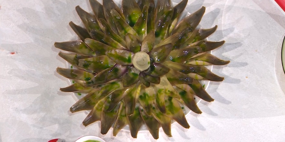 stella di carciofi di David Fiordigiglio